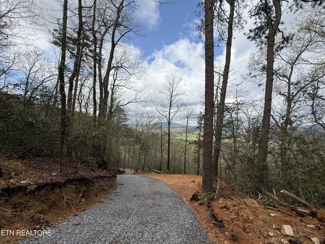 393 Green Forest Rd, Cosby, TN 37722