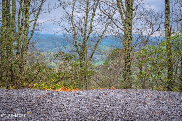 393 Green Forest Rd, Cosby, TN 37722