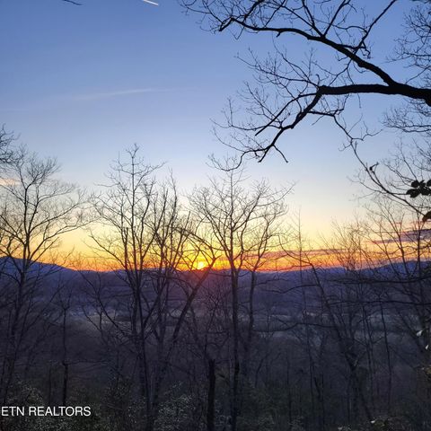 393 Green Forest Rd, Cosby, TN 37722