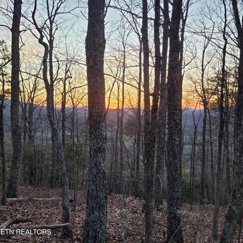 393 Green Forest Rd, Cosby, TN 37722