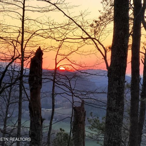 393 Green Forest Rd, Cosby, TN 37722