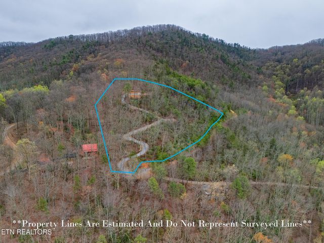 393 Green Forest Rd, Cosby, TN 37722