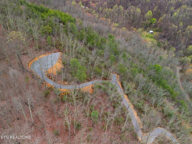 393 Green Forest Rd, Cosby, TN 37722