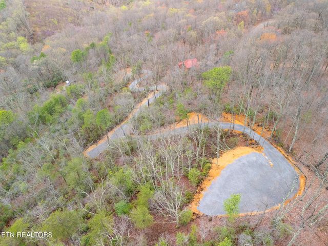 393 Green Forest Rd, Cosby, TN 37722