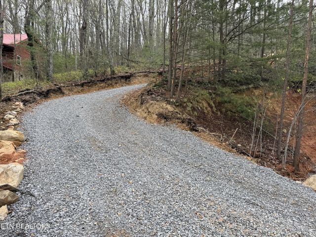 393 Green Forest Rd, Cosby, TN 37722