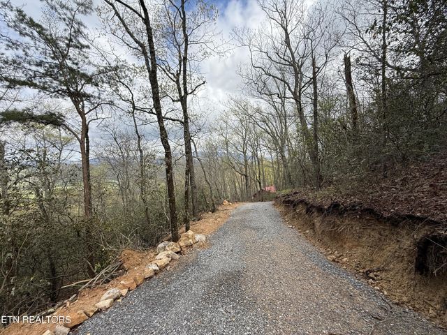 393 Green Forest Rd, Cosby, TN 37722