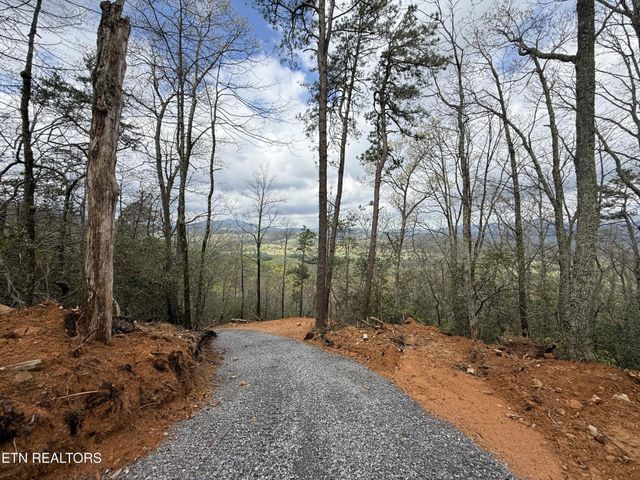 393 Green Forest Rd, Cosby, TN 37722
