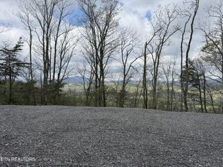 393 Green Forest Rd, Cosby, TN 37722