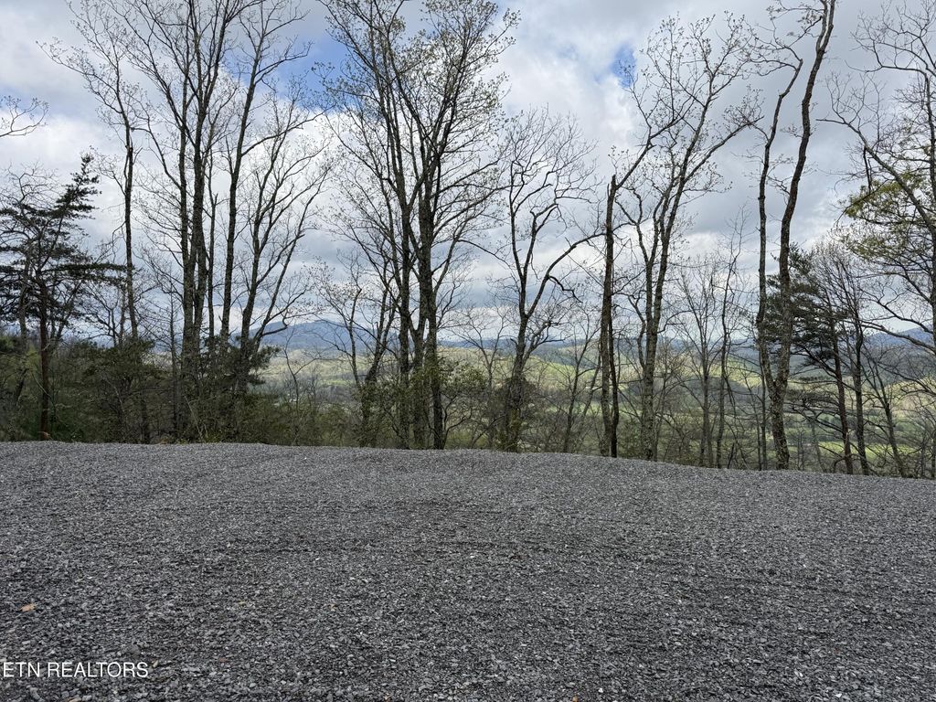393 Green Forest Rd, Cosby, TN 37722