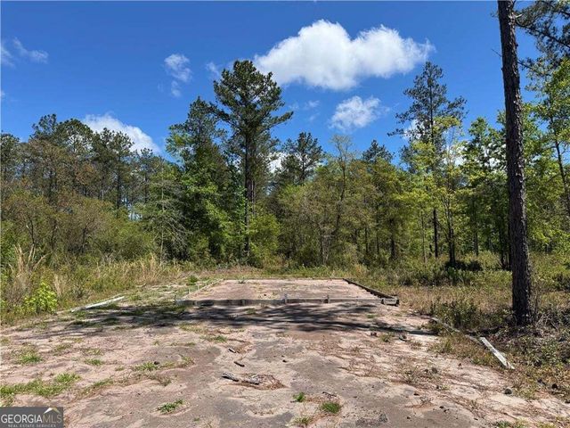 1757 McIntosh Trail SE, Townsend, GA 31331