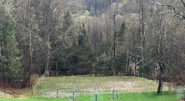 179 Cate Hill Road, Greensboro, VT 05826