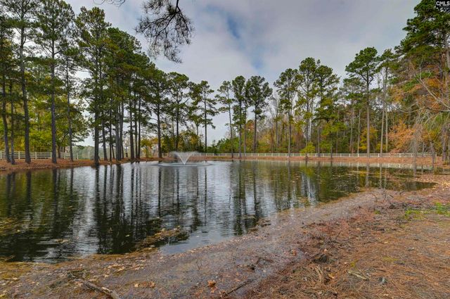 112 Feather Site Lane, Lexington, SC 29072