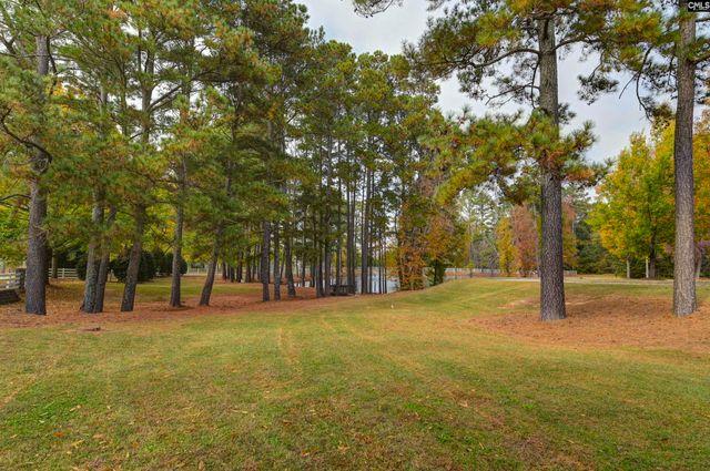 112 Feather Site Lane, Lexington, SC 29072
