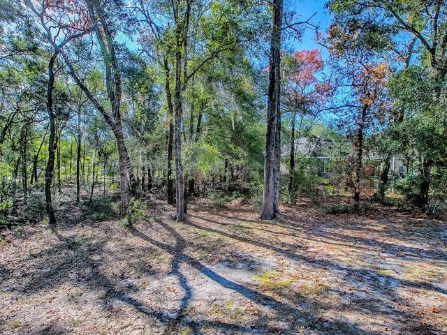 8686 SE 158TH STREET, Summerfield, FL 34491