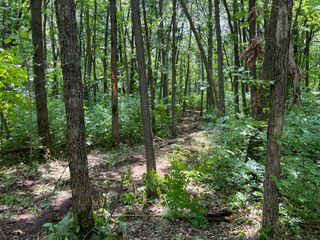 000 Cross Lake Rd, Chengwatana Twp, MN 55063