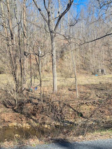 44 Walkers DR, Buchanan, VA 24066
