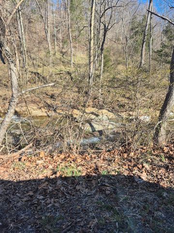 44 Walkers DR, Buchanan, VA 24066