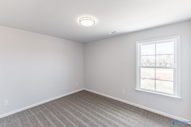 208 Roman Randall Road, New Market, AL 35761