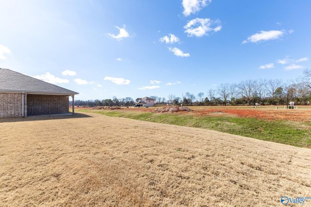 208 Roman Randall Road, New Market, AL 35761
