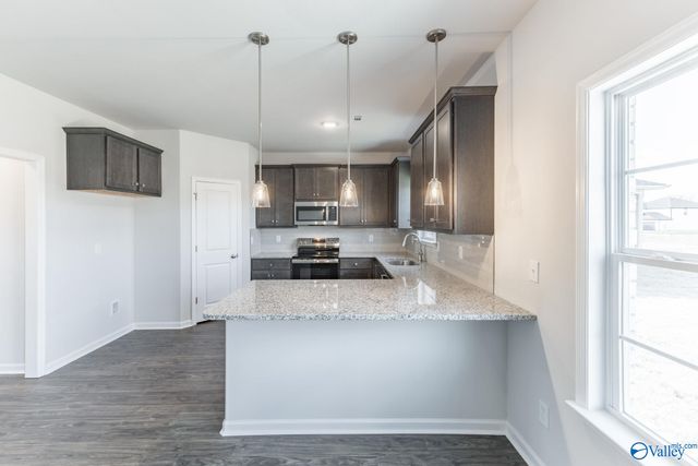 208 Roman Randall Road, New Market, AL 35761