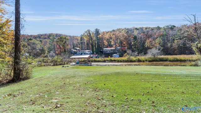 4317 Morrow Street, Guntersville, AL 35976