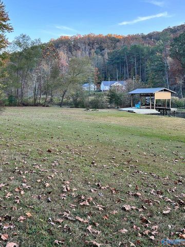 4317 Morrow Street, Guntersville, AL 35976