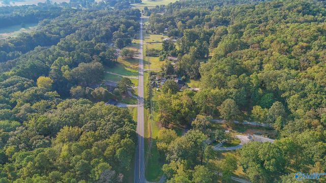 1.3 Upper River Road, Decatur, AL 35601