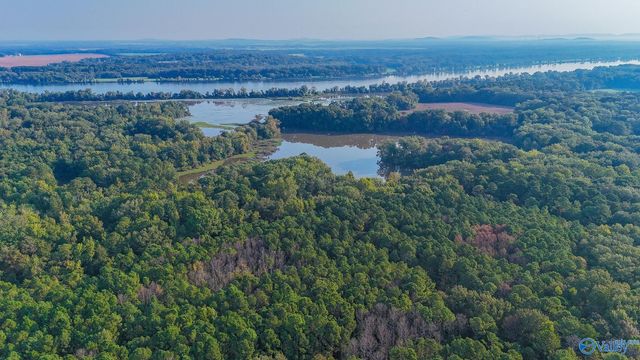 1.3 Upper River Road, Decatur, AL 35601