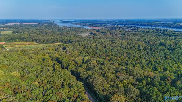 1.3 Upper River Road, Decatur, AL 35601