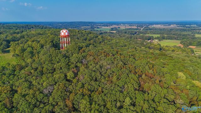 1.3 Upper River Road, Decatur, AL 35601