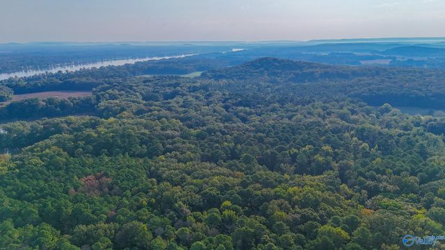 1.3 Upper River Road, Decatur, AL 35601