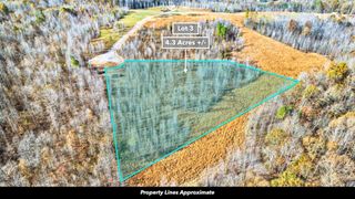 0 Freedom Ridge, Indian Mound, TN 37079