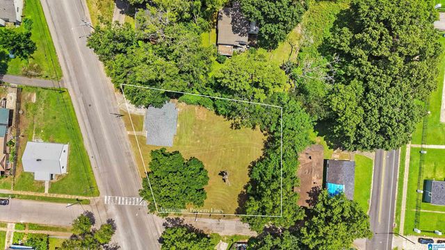 1017 VINESVILLE ROAD, Birmingham, AL 35208
