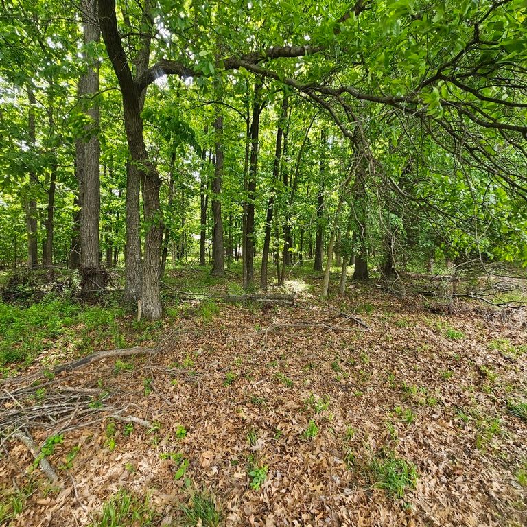 Image 3 of property listing at 4147 Richview Road, Mt Vernon, IL 62864