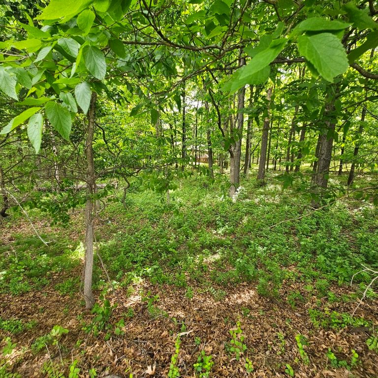 Image 5 of property listing at 4147 Richview Road, Mt Vernon, IL 62864