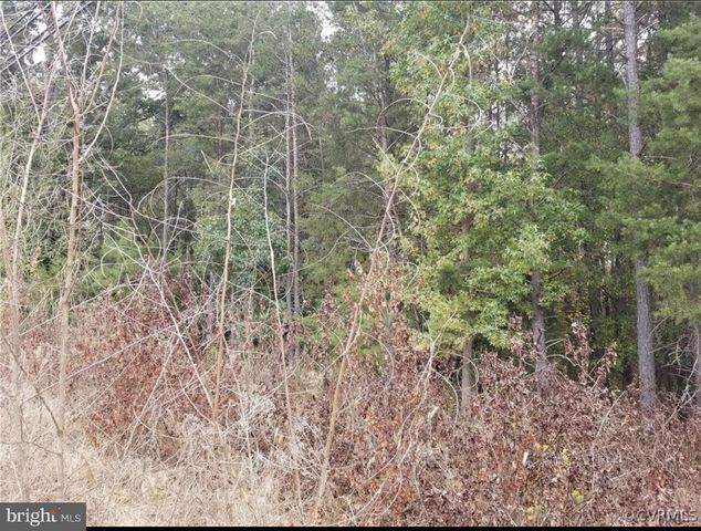 00 RICHMOND TURNPIKE, Bowling Green, VA 22427