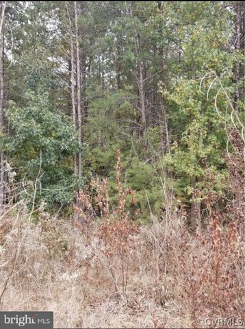 00 RICHMOND TURNPIKE, Bowling Green, VA 22427