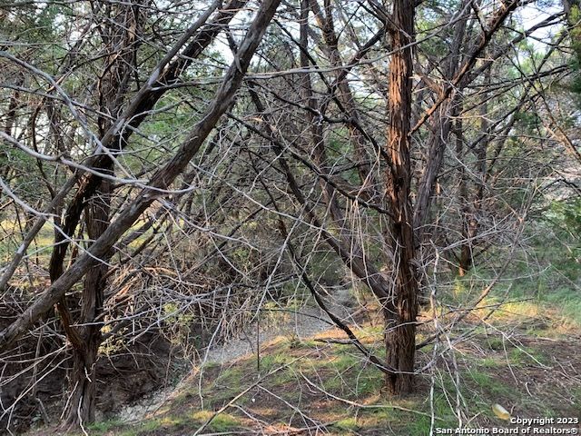1533 DESIREE ST, Canyon Lake, TX 78133