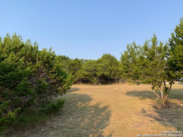 1533 DESIREE ST, Canyon Lake, TX 78133