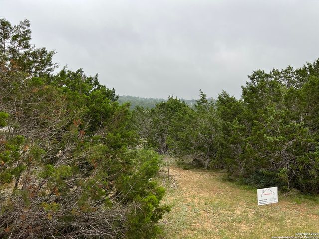 1533 DESIREE ST, Canyon Lake, TX 78133