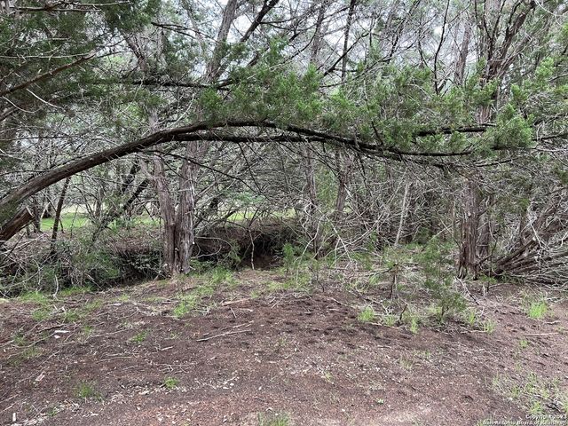 1533 DESIREE ST, Canyon Lake, TX 78133