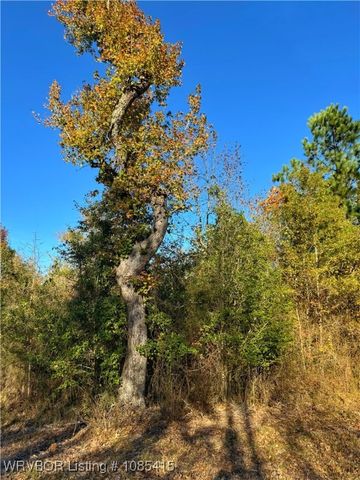 59210 Muse Place, Muse, OK 74949