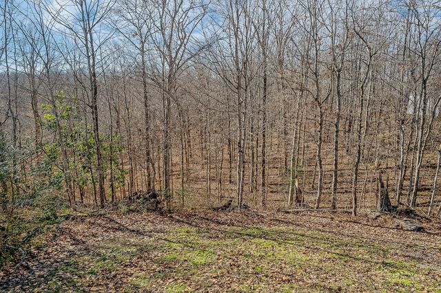 94 Cummins Ct, Celina, TN 38551