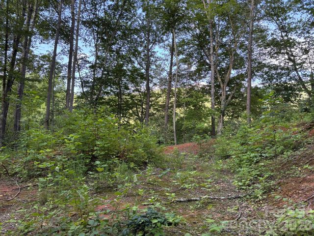 Lot 41 Peace Wood Lane 41, Hendersonville, NC 28792