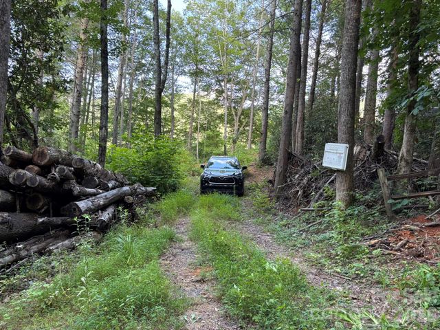 Lot 41 Peace Wood Lane 41, Hendersonville, NC 28792