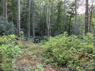 Lot 41 Peace Wood Lane 41, Hendersonville, NC 28792