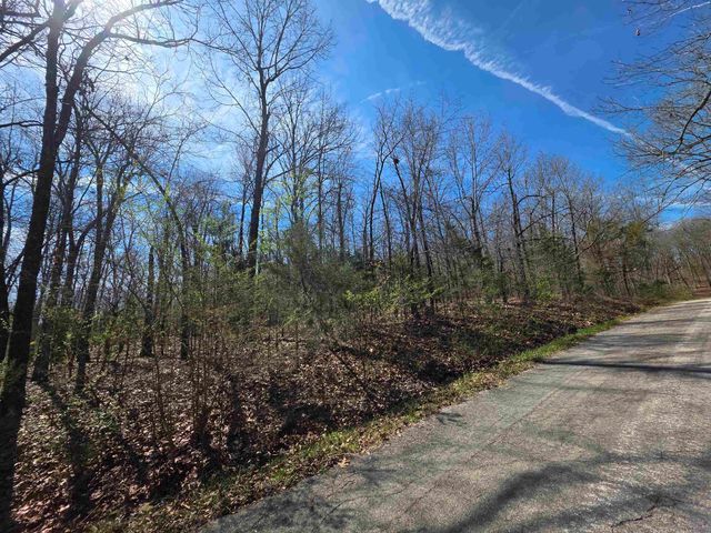 L-71 B-10 Oklahoma Circle, Cherokee Village, AR 72529