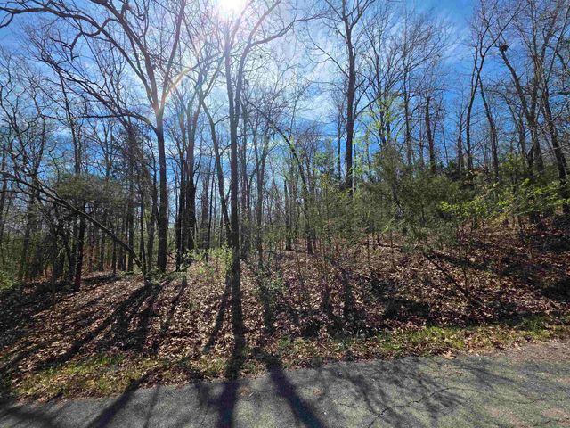 L-71 B-10 Oklahoma Circle, Cherokee Village, AR 72529