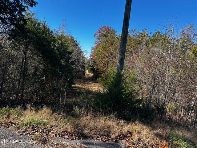 Shadden Road Lot 2, Tellico Plains, TN 37385