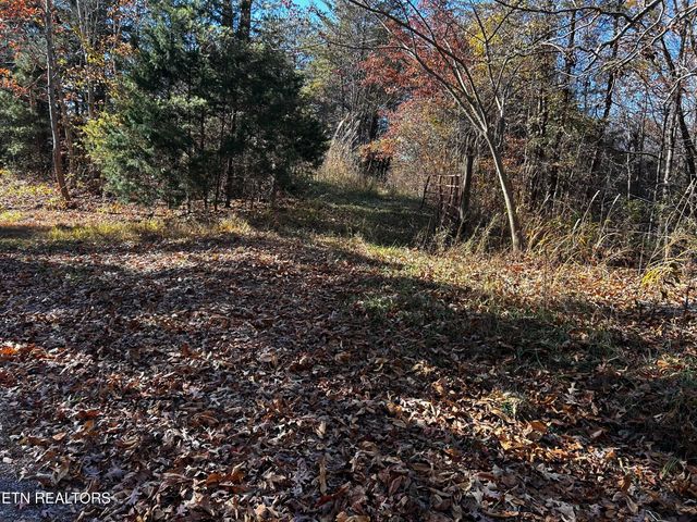 Shadden Road Lot 2, Tellico Plains, TN 37385
